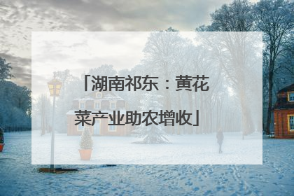 湖南祁东：黄花菜产业助农增收