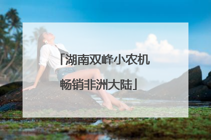 湖南双峰小农机畅销非洲大陆