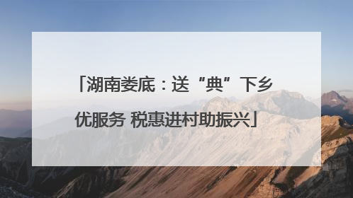 湖南娄底：送“典”下乡优服务 税惠进村助振兴