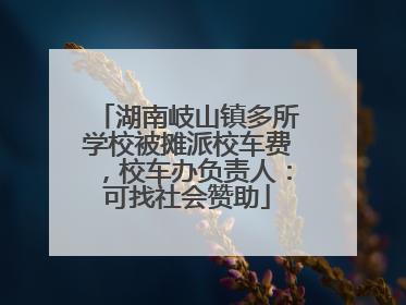湖南岐山镇多所学校被摊派校车费，校车办负责人：可找社会赞助