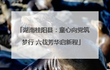 湖南桂阳县：童心向党筑梦行 六载芳华启新程