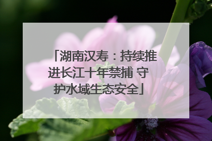 湖南汉寿：持续推进长江十年禁捕 守护水域生态安全