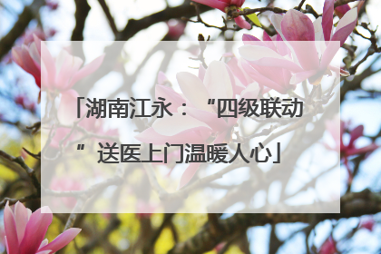 湖南江永：“四级联动”送医上门温暖人心
