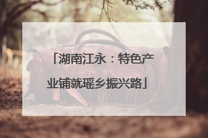 湖南江永：特色产业铺就瑶乡振兴路