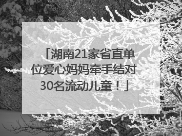 湖南21家省直单位爱心妈妈牵手结对30名流动儿童！