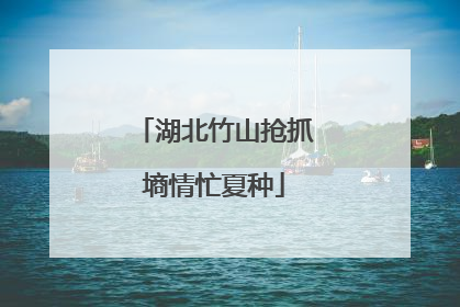 湖北竹山抢抓墒情忙夏种