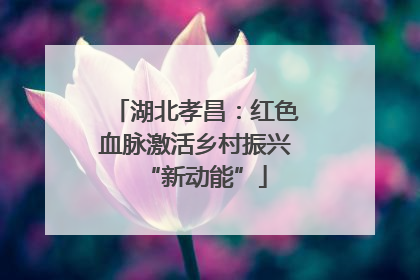 湖北孝昌：红色血脉激活乡村振兴“新动能”