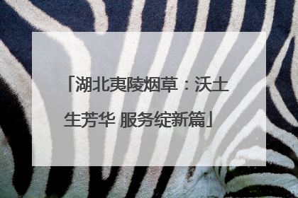 湖北夷陵烟草：沃土生芳华 服务绽新篇