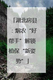 湖北房县：烟农“好帮手”解锁植保“新姿势”