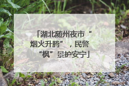 湖北随州夜市“烟火升腾”，民警“枫”景护安宁