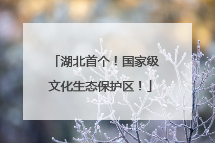 湖北首个！国家级文化生态保护区！