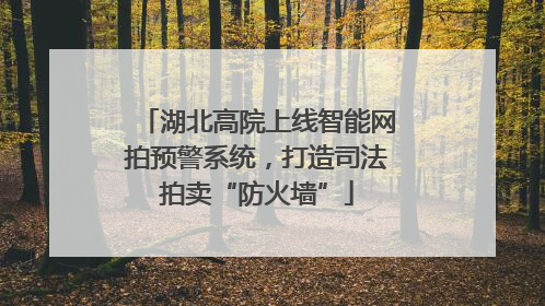湖北高院上线智能网拍预警系统，打造司法拍卖“防火墙”