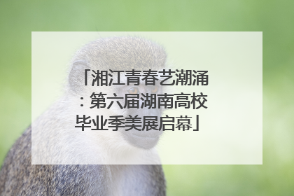 湘江青春艺潮涌：第六届湖南高校毕业季美展启幕