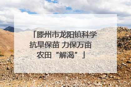滕州市龙阳镇科学抗旱保苗 力保万亩农田“解渴”