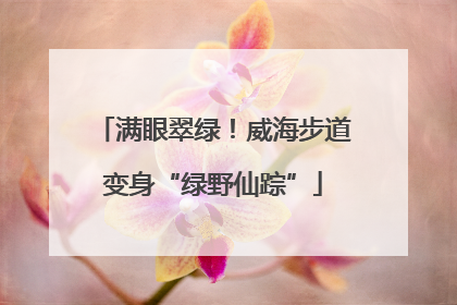 满眼翠绿！威海步道变身“绿野仙踪”