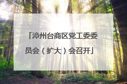 漳州台商区党工委委员会（扩大）会召开