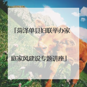 菏泽单县妇联举办家庭家风建设专题讲座