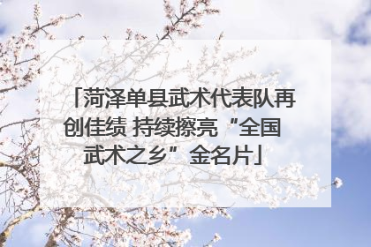 菏泽单县武术代表队再创佳绩 持续擦亮“全国武术之乡”金名片