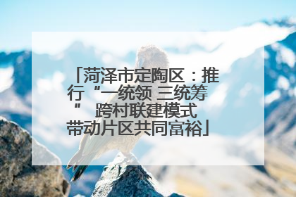 菏泽市定陶区：推行“一统领 三统筹” 跨村联建模式 带动片区共同富裕