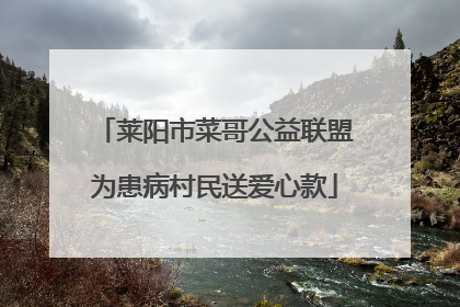 莱阳市菜哥公益联盟为患病村民送爱心款