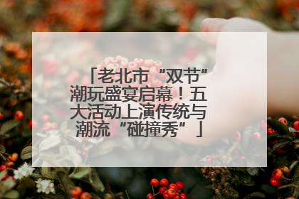 老北市“双节”潮玩盛宴启幕！五大活动上演传统与潮流“碰撞秀”
