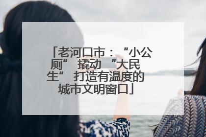 老河口市：“小公厕” 撬动 “大民生” 打造有温度的城市文明窗口