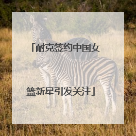 耐克签约中国女篮新星引发关注
