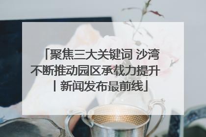 聚焦三大关键词 沙湾不断推动园区承载力提升丨新闻发布最前线