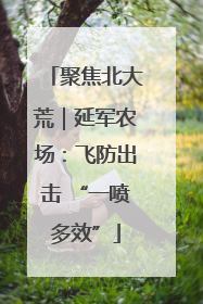 聚焦北大荒｜延军农场：飞防出击 “一喷多效”