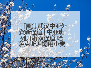 聚焦武汉中亚外贸新通道│中亚班列开辟双通道 哈萨克斯坦饲用小麦将抵鄂