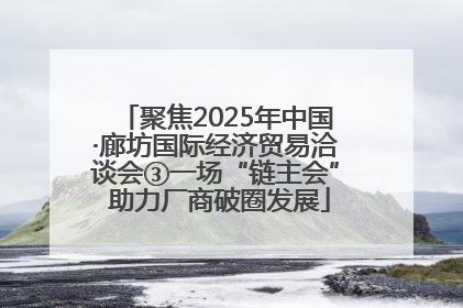 聚焦2025年中国·廊坊国际经济贸易洽谈会③一场“链主会” 助力厂商破圈发展