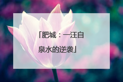 肥城：一汪自泉水的逆袭