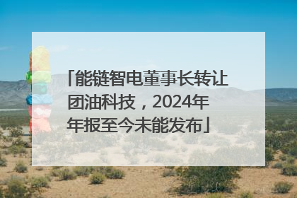 能链智电董事长转让团油科技，2024年年报至今未能发布