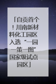 自贡首个！川南新材料化工园区入选“一园一策一图”国家级试点园区