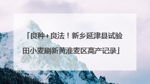 良种+良法！新乡延津县试验田小麦刷新黄淮麦区高产记录