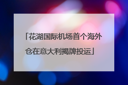 花湖国际机场首个海外仓在意大利揭牌投运