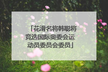 花滑名将韩聪将竞选国际奥委会运动员委员会委员