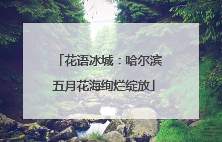 花语冰城：哈尔滨五月花海绚烂绽放