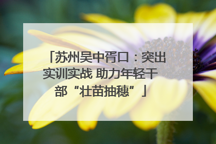 苏州吴中胥口：突出实训实战 助力年轻干部“壮苗抽穗”