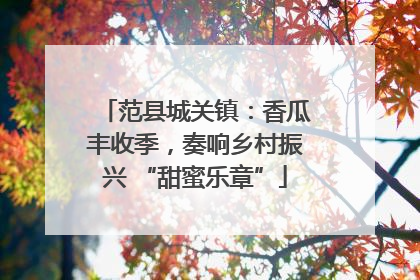 范县城关镇：香瓜丰收季，奏响乡村振兴 “甜蜜乐章”