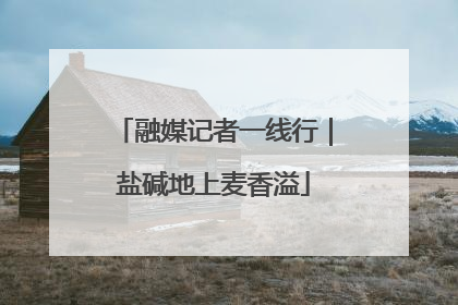 融媒记者一线行｜盐碱地上麦香溢