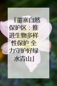 董寨自然保护区：推进生物多样性保护 全力守护好绿水青山