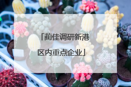 蔺佳调研新港区内重点企业