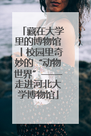 藏在大学里的博物馆丨校园里奇妙的“动物世界”——走进河北大学博物馆