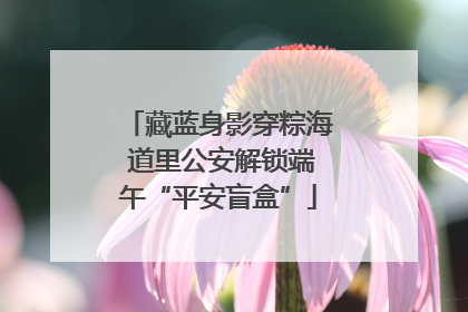 藏蓝身影穿粽海 道里公安解锁端午“平安盲盒”