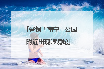 警惕！南宁一公园附近出现眼镜蛇