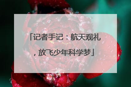 记者手记：航天观礼，放飞少年科学梦