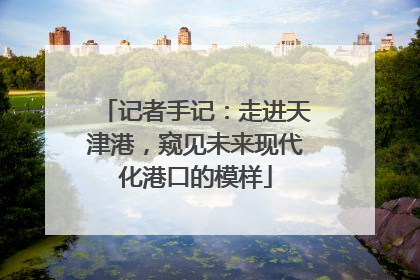 记者手记：走进天津港，窥见未来现代化港口的模样