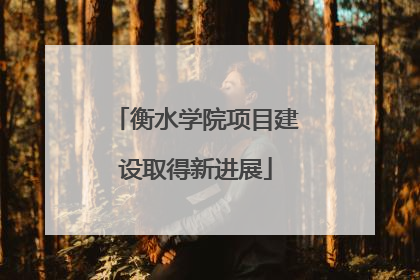 衡水学院项目建设取得新进展