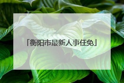 衡阳市最新人事任免